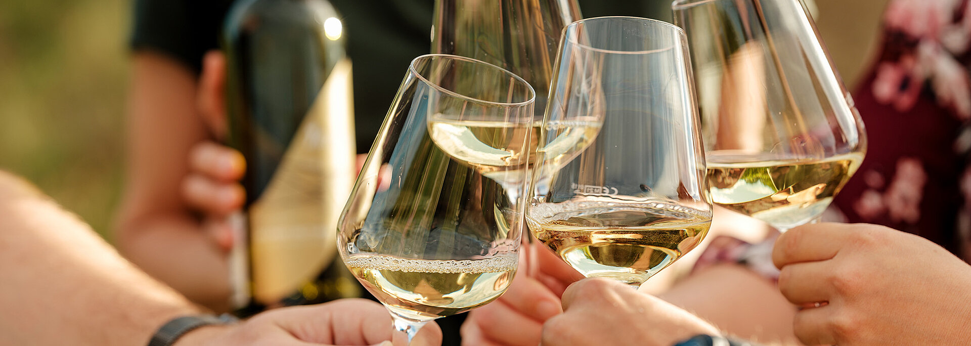Gläser mit Weißweinen stoßen zusammen. Im Hintergrund sieht man eine Flasche Neustifter Wein aus der Exklusiv Linie.