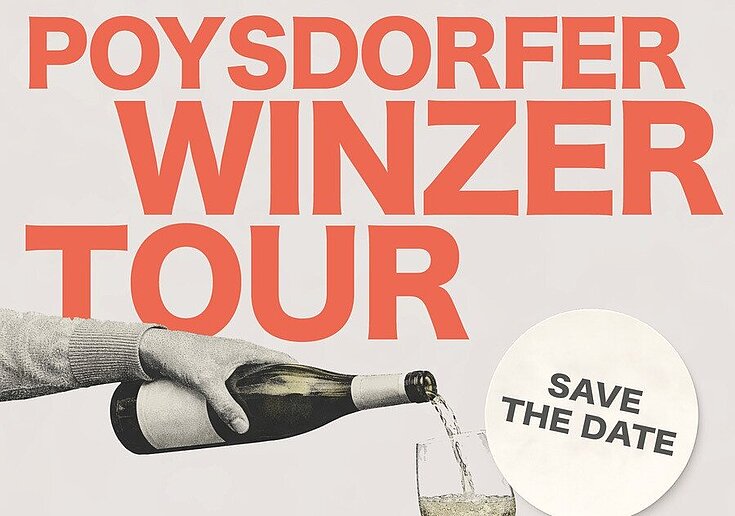Plakát k Poysdorfské vinařské túře, která se koná ve dnech 13. až 15. listopadu v Poysdorfu
