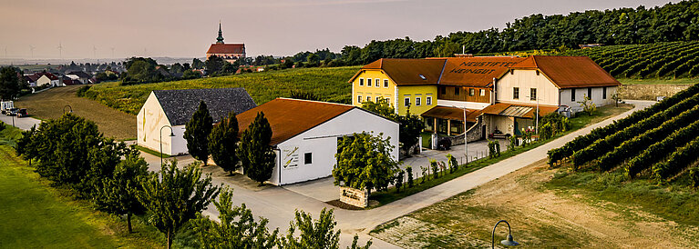 Das Wein.Gut Neustifter befindet sich inmitten der Weingärten. Das Bild wurde im Herbst aufgenommen. Im Hintergrund kann man die Stadtpfarrkirche von Poysdorf erkennen.