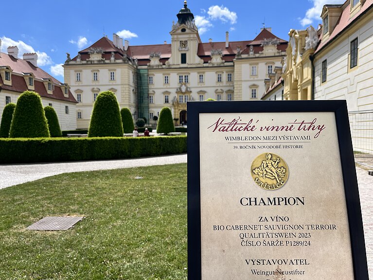 Auszeichnungsurkunde des BIO Cabernet Sauvignon Terroir 2023 mit dem Titel ‚Champion‘ bei der Weinmesse Valtice.