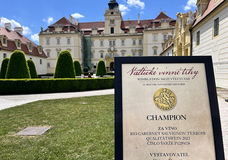 Auszeichnungsurkunde des BIO Cabernet Sauvignon Terroir 2023 mit dem Titel ‚Champion‘ bei der Weinmesse Valtice.
