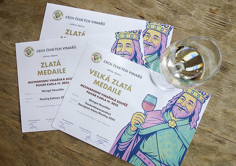 Auszeichnungen von Pohár Karla IV.