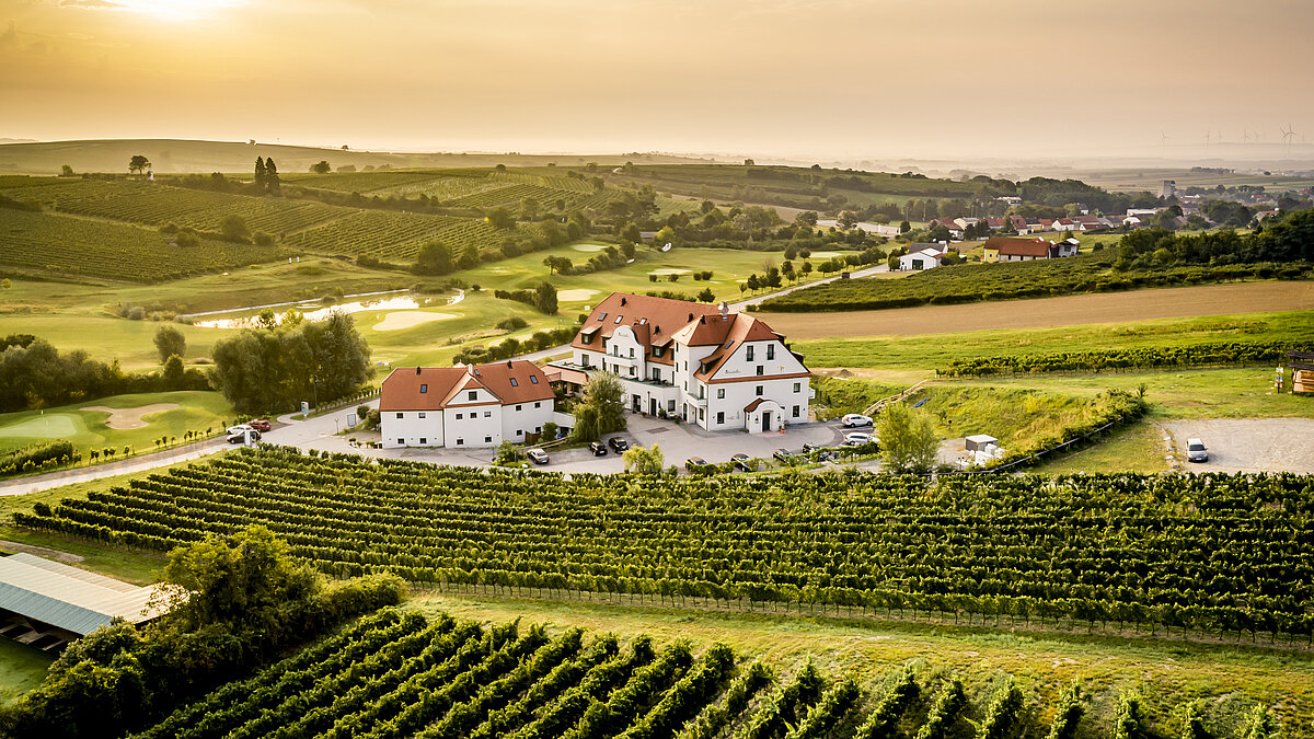 Eine Drohnenaufnahme zeigt die Weingärten, die das Wein.Hotel Neustifter umzingeln. 