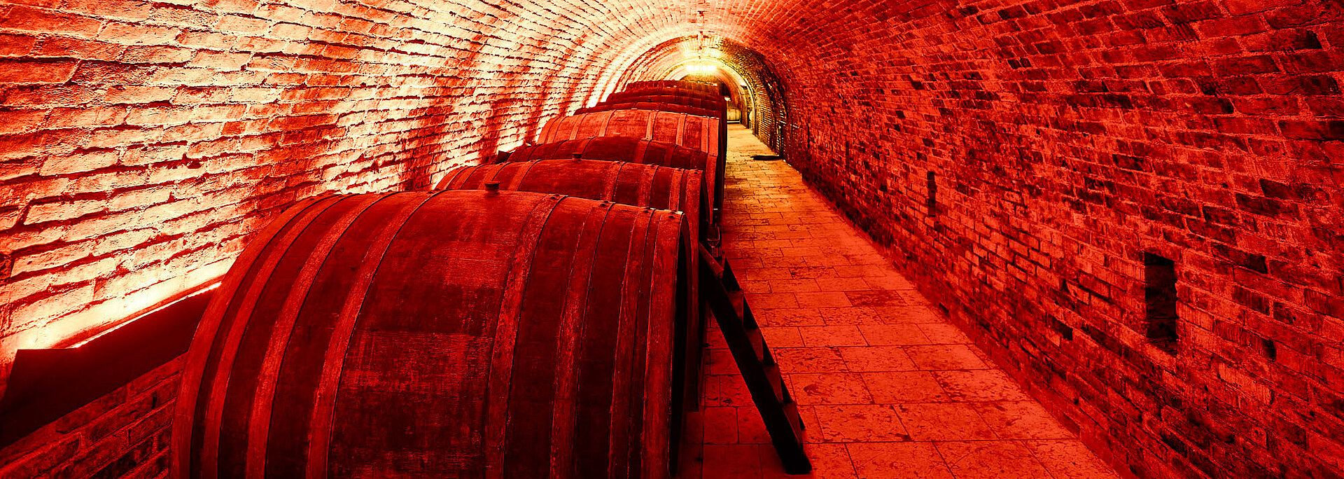 In der rotbeleuchteten Kelleröhre stehen große Holzfässer gefüllt mit Rotwein.