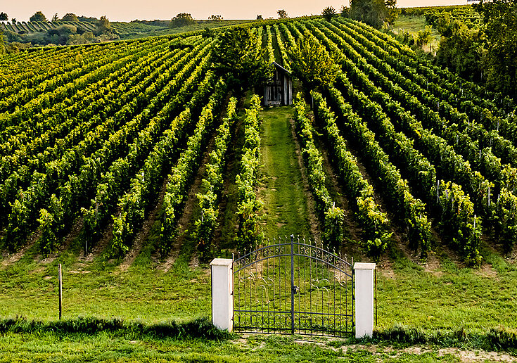 Stockkulturgarten Záběr z dronu ze zahrady Stockkulturgarten