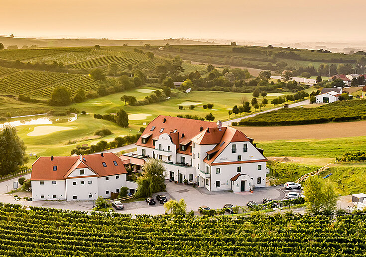 Eine Drohnenaufnahme zeigt die Weingärten, die das Wein.Hotel Neustifter umzingeln. 