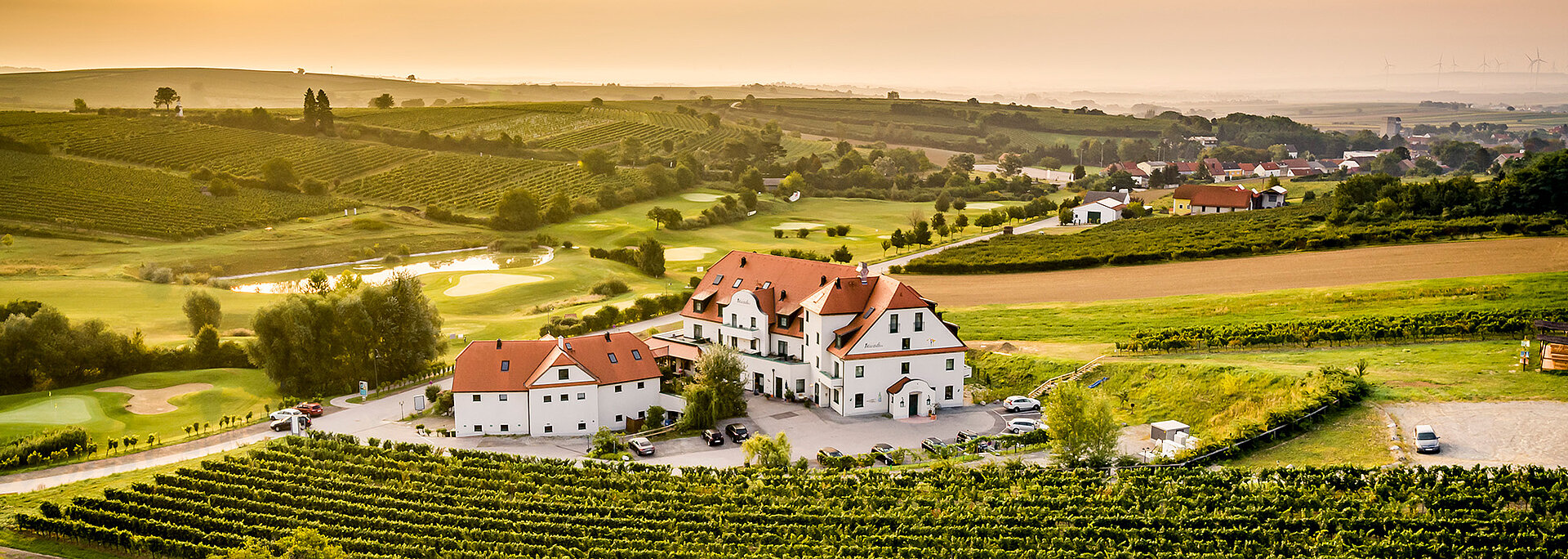 Eine Drohnenaufnahme zeigt die Weingärten, die das Wein.Hotel Neustifter umzingeln. 