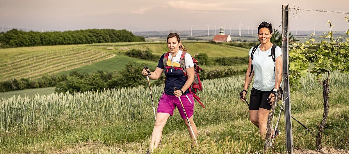 Zwei Wanderer sind in den Weingärten wandern.