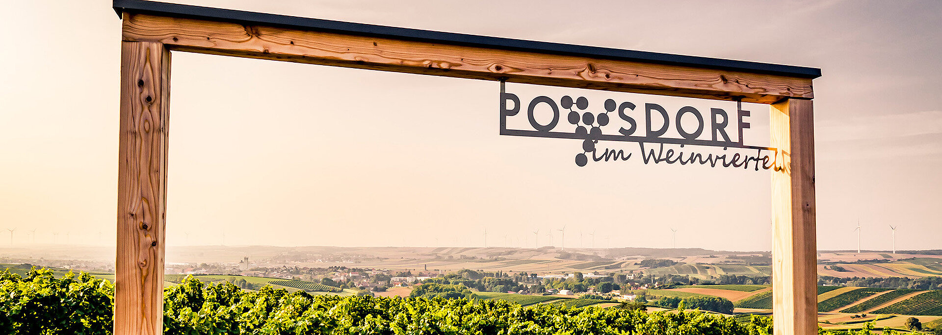 Ein großer Fotorahmen steht vor einem Weingarten. Rechts oben in der Ecke steht "Poysdorf im Weinviertel". 