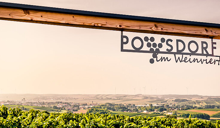 Ein großer Fotorahmen steht vor einem Weingarten. Rechts oben in der Ecke steht "Poysdorf im Weinviertel". 