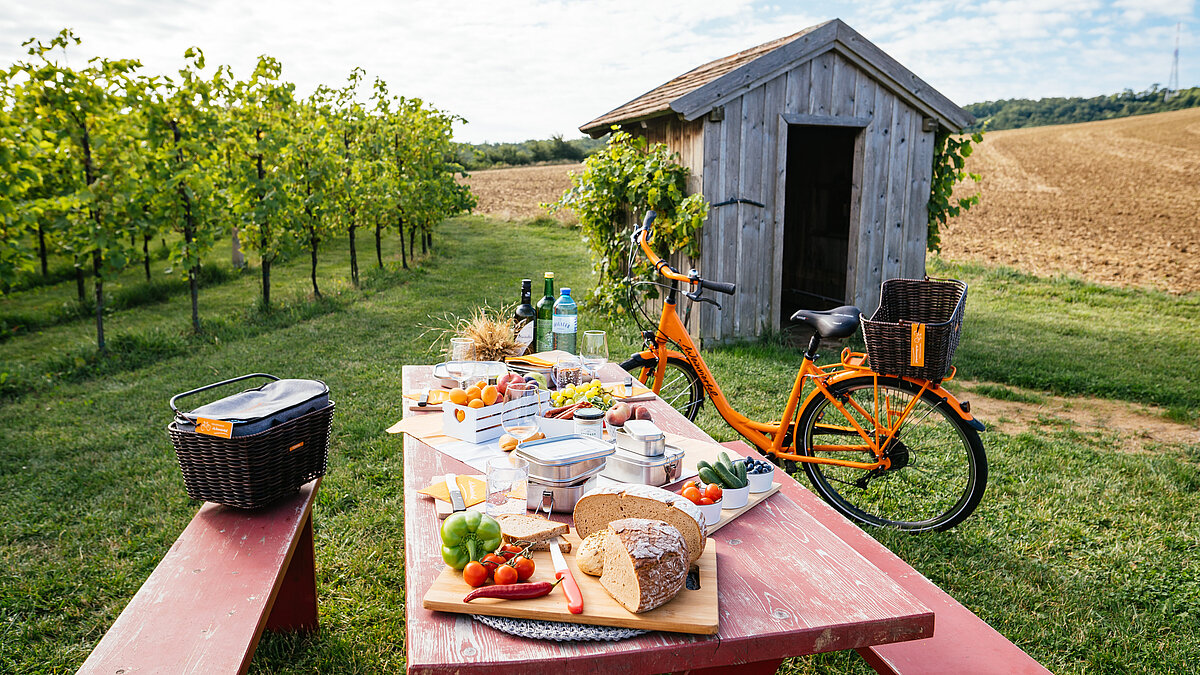 Mitten im Weingarten steht ein gedeckter Tisch mit Weinviertler Spezialitäten. Im Hintergrund steht ein oranges Fahrrad und eine kleine Holzhütte.