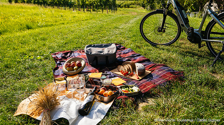 Auf einer Wiese ist eine Picknickdecke ausgebreitet mit einem Picknickkorb und verschiedenen Leckereien. Im Hintergrund steht ein Fahrrad.