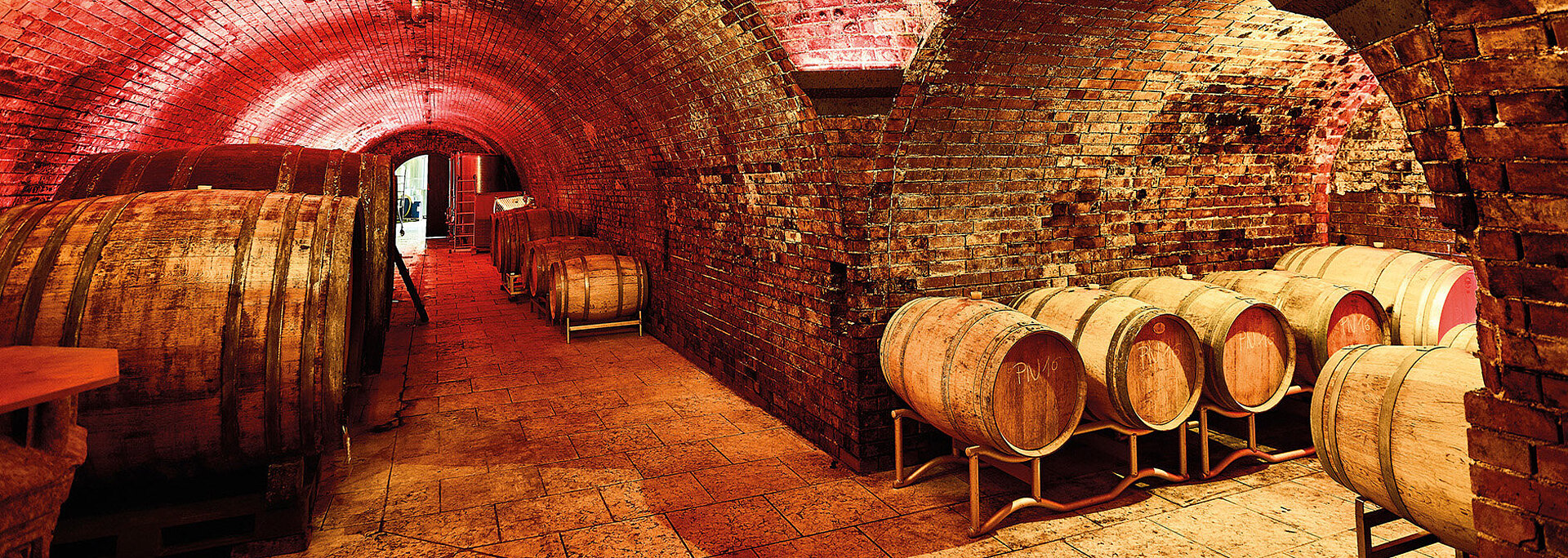 Im Weinkeller vom Wein.Gut Neuistifter stehen viele Große Holzfässer sowie kleine Barriquefässer. Das Licht ist rötlich, so entsteht eine romantische Atmosphäre. An der Decke hängt ein großer Luster.