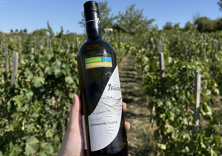 BIO Donauveltliner 2026 Eine Flasche vom Jungwein Donauveltliner 2026, im Hintergrund sieht man den Weingarten
